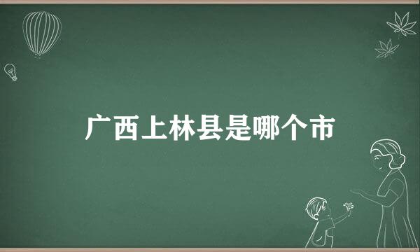 广西上林县是哪个市