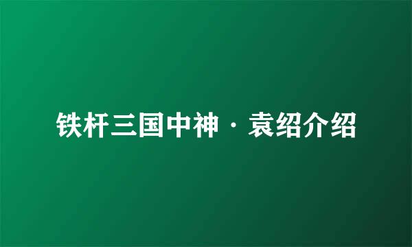 铁杆三国中神·袁绍介绍