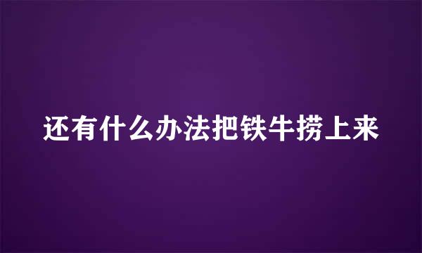 还有什么办法把铁牛捞上来