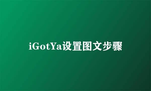 iGotYa设置图文步骤
