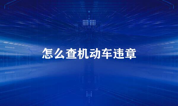 怎么查机动车违章