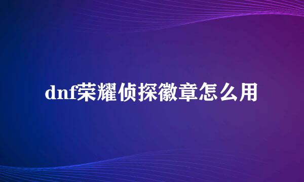 dnf荣耀侦探徽章怎么用