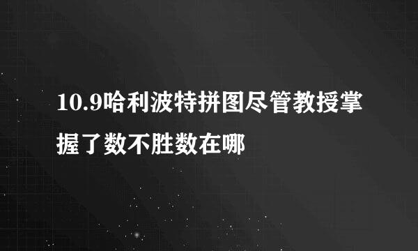 10.9哈利波特拼图尽管教授掌握了数不胜数在哪