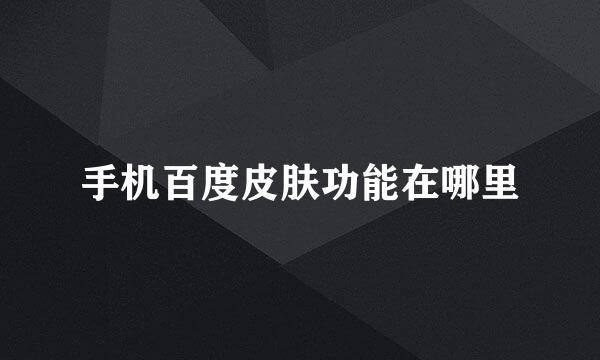 手机百度皮肤功能在哪里