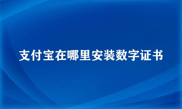 支付宝在哪里安装数字证书