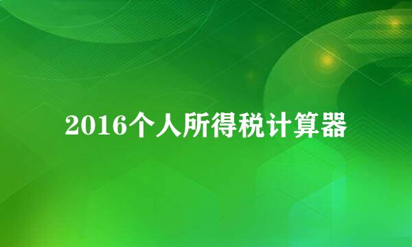 2016个人所得税计算器