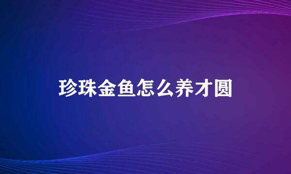 珍珠金鱼怎么养才圆