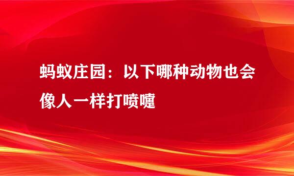 蚂蚁庄园：以下哪种动物也会像人一样打喷嚏