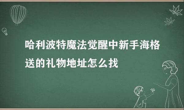 哈利波特魔法觉醒中新手海格送的礼物地址怎么找