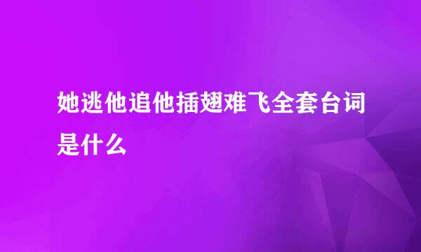 她逃他追他插翅难飞全套台词是什么