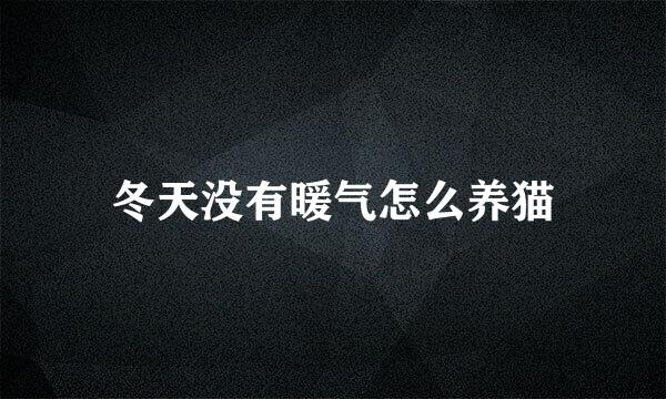 冬天没有暖气怎么养猫