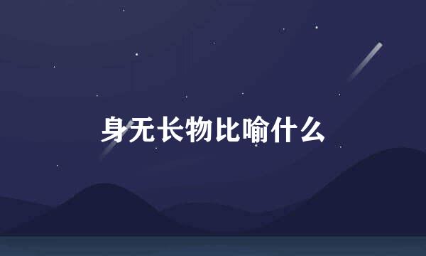 身无长物比喻什么
