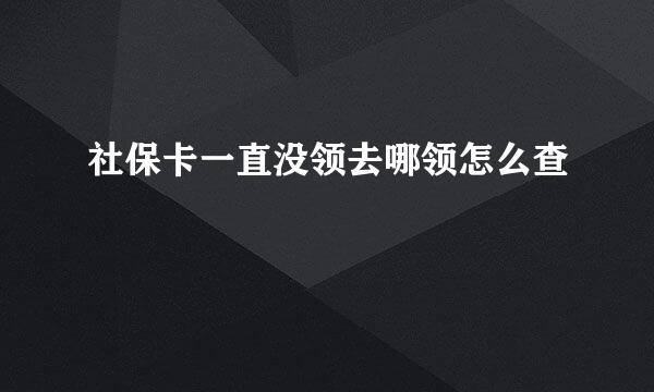社保卡一直没领去哪领怎么查