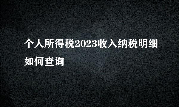 个人所得税2023收入纳税明细如何查询