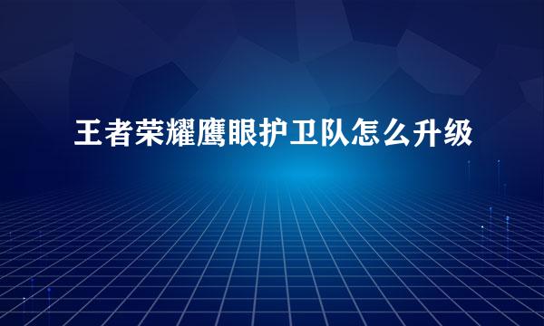 王者荣耀鹰眼护卫队怎么升级
