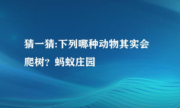 猜一猜:下列哪种动物其实会爬树？蚂蚁庄园