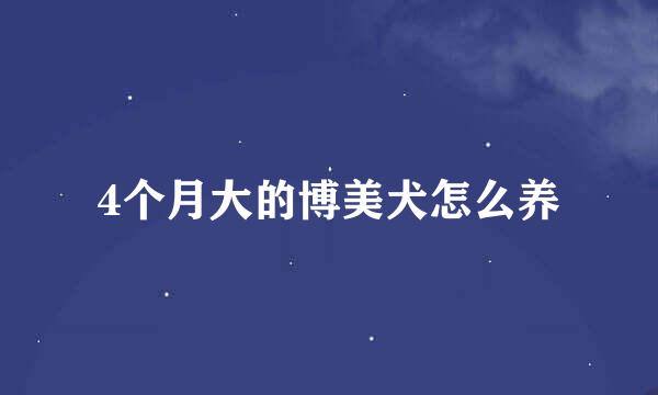 4个月大的博美犬怎么养