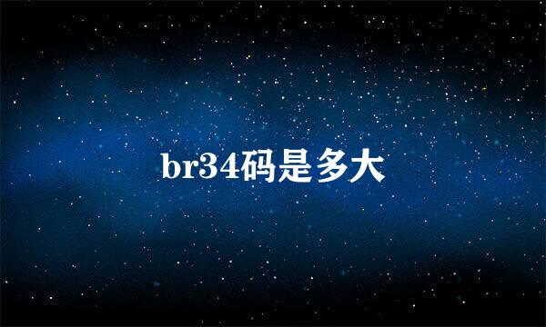 br34码是多大