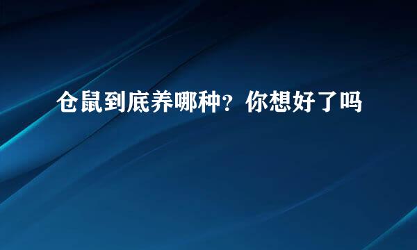 仓鼠到底养哪种？你想好了吗