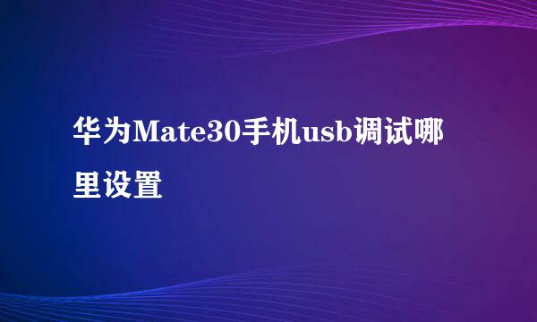 华为Mate30手机usb调试哪里设置