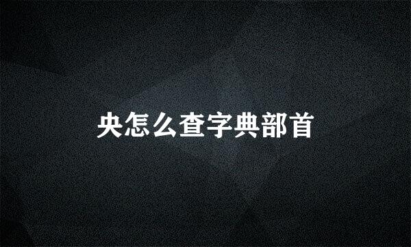 央怎么查字典部首