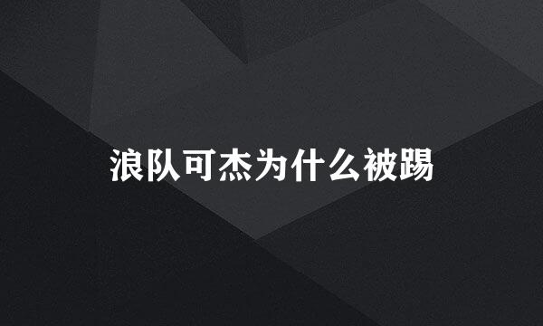 浪队可杰为什么被踢