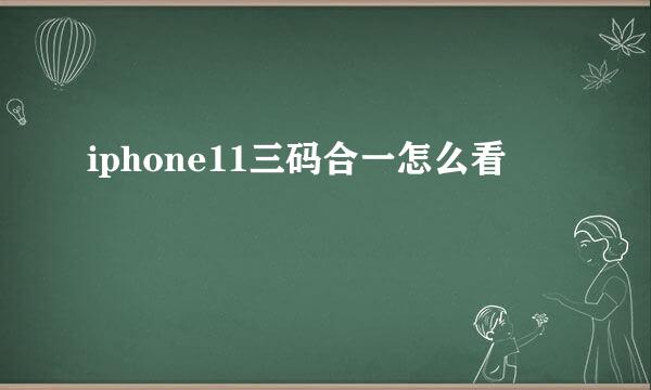 iphone11三码合一怎么看