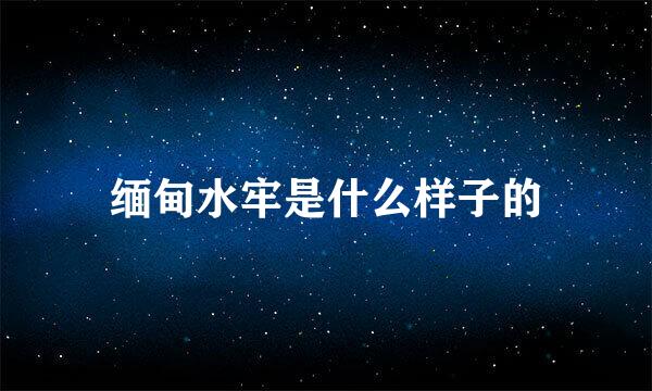 缅甸水牢是什么样子的
