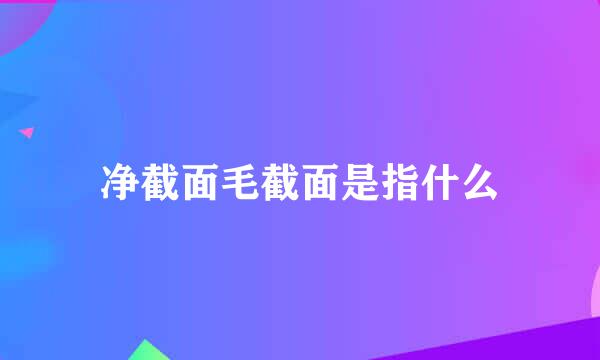 净截面毛截面是指什么