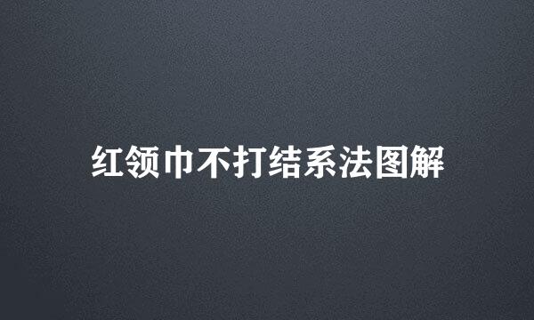 红领巾不打结系法图解