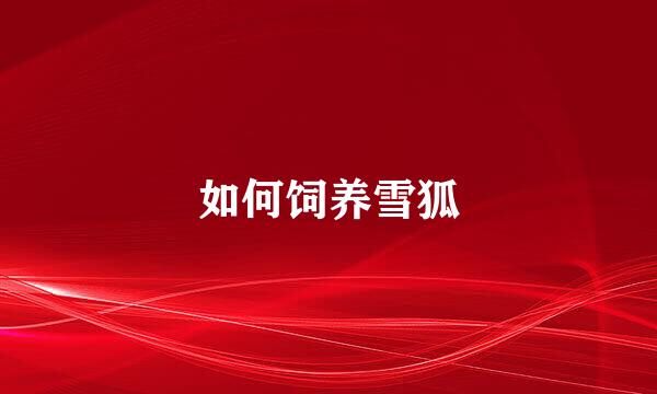 如何饲养雪狐