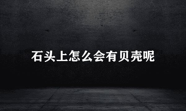 石头上怎么会有贝壳呢