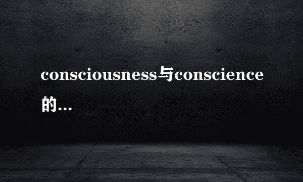 consciousness与conscience的区别何在