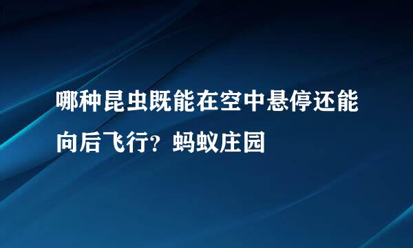 哪种昆虫既能在空中悬停还能向后飞行？蚂蚁庄园