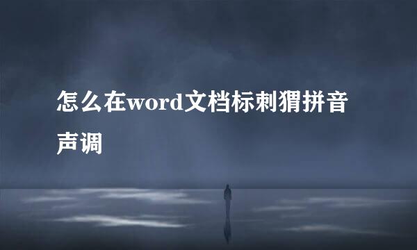 怎么在word文档标刺猬拼音声调