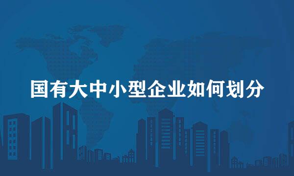 国有大中小型企业如何划分
