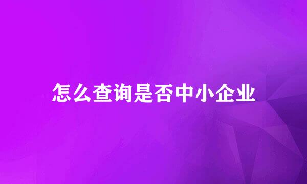 怎么查询是否中小企业