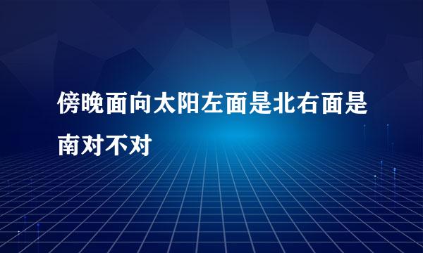 傍晚面向太阳左面是北右面是南对不对
