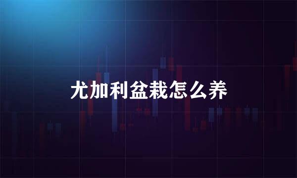 尤加利盆栽怎么养