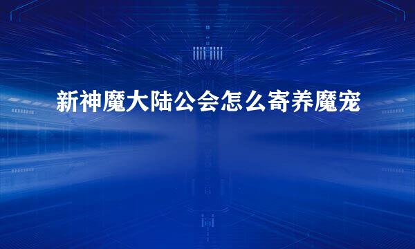 新神魔大陆公会怎么寄养魔宠