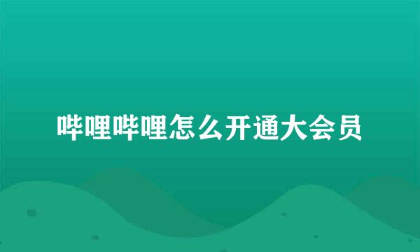 哔哩哔哩怎么开通大会员