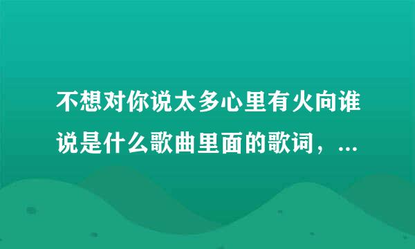 不想对你说太多心里有火向谁说是什么歌曲里面的歌词，谁唱的求高手帮忙
