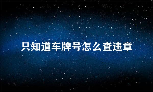 只知道车牌号怎么查违章
