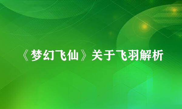 《梦幻飞仙》关于飞羽解析