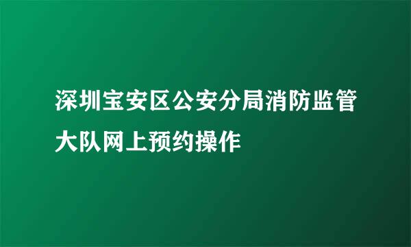 深圳宝安区公安分局消防监管大队网上预约操作