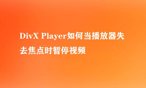 DivX Player如何当播放器失去焦点时暂停视频
