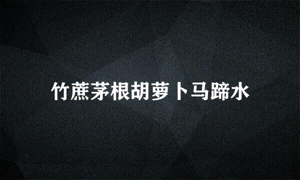竹蔗茅根胡萝卜马蹄水