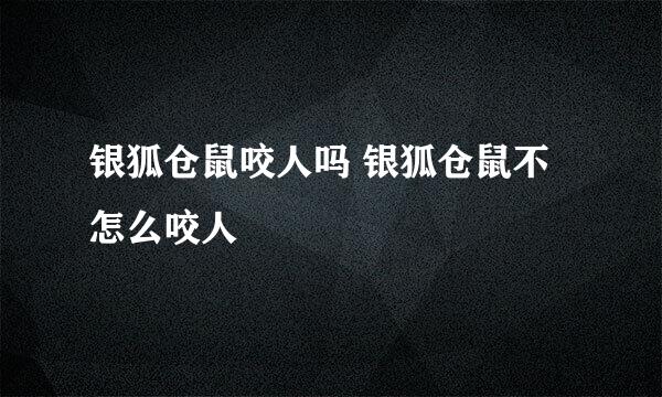 银狐仓鼠咬人吗 银狐仓鼠不怎么咬人