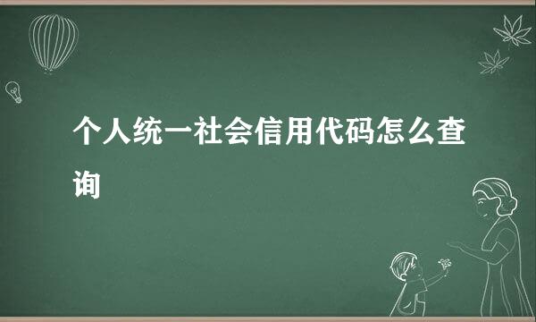个人统一社会信用代码怎么查询