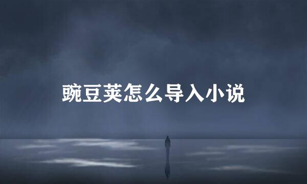 豌豆荚怎么导入小说